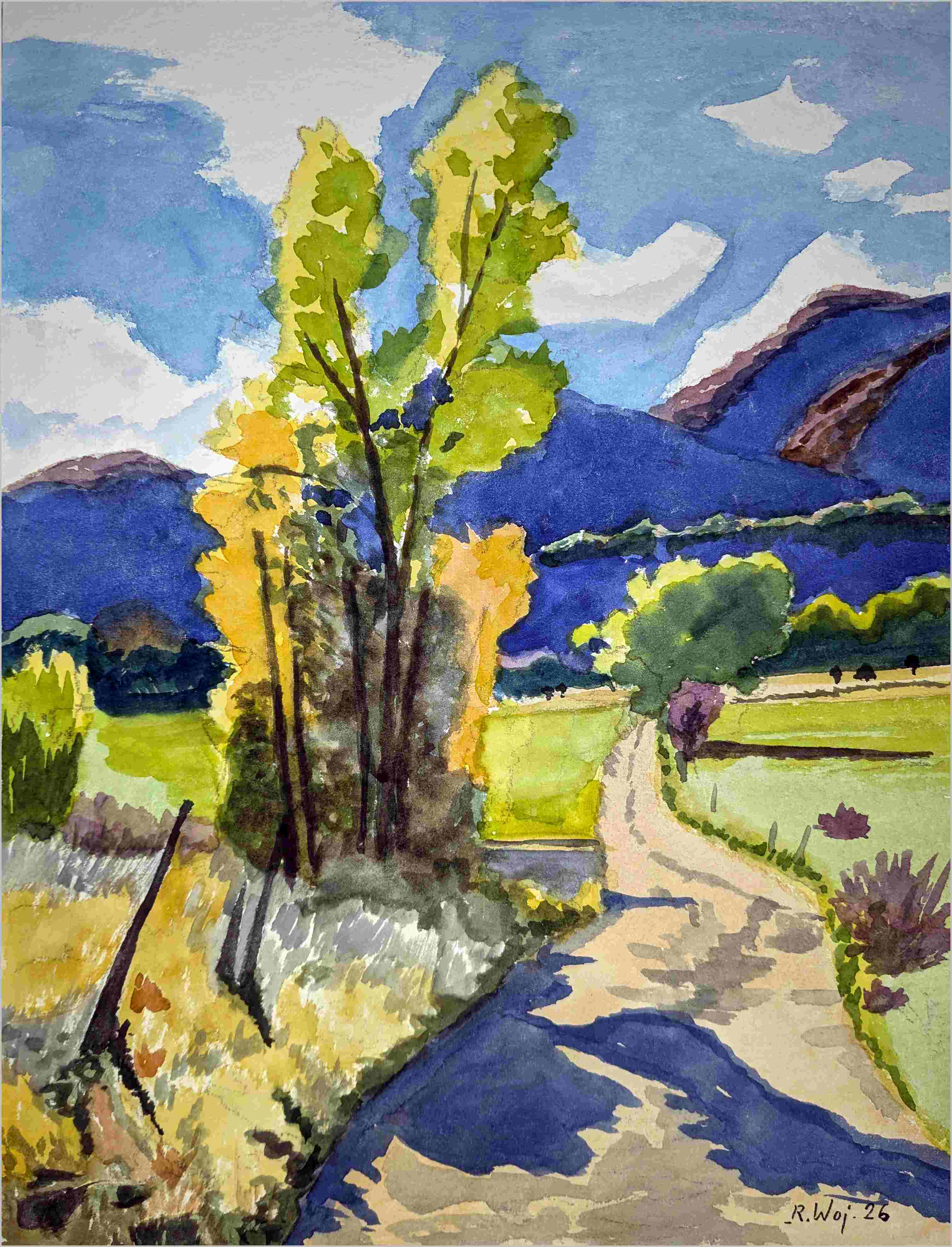   Sonnige Landschaft vor Gebirge